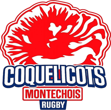 Coquelicots Montéchois