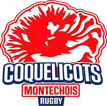 Logo Coquelicots Montéchois
